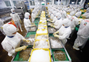 Exports to the Americas win big thanks to CPTPP "leverage"