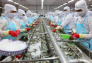 The US continues to be the largest export market of Vietnam