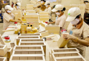 Open door to export to the US market