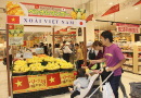 Promoting Vietnamese enterprises to directly participate in foreign distribution networks