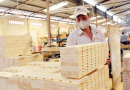 Inflation in the US and EU negatively affects Vietnam