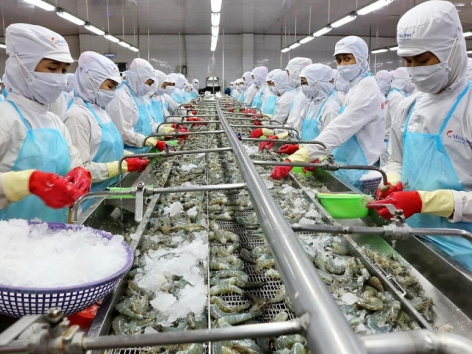 The US continues to be the largest export market of Vietnam